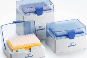 ENS01.3200 Pipettenspitzen 50-1000µl Eppendorf Rack 5x96